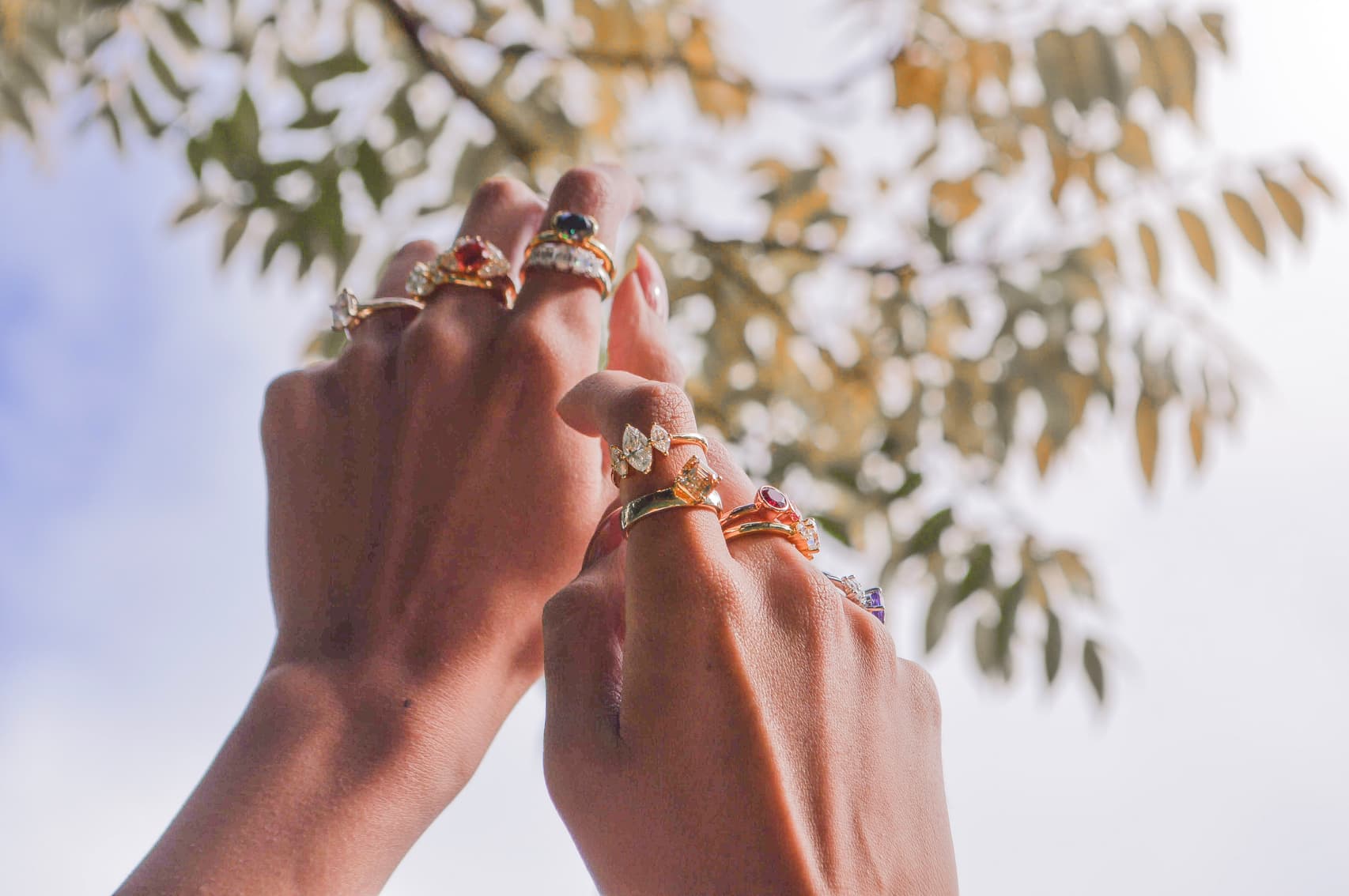 Collection of sapphire and diamond rings with a branch in the background