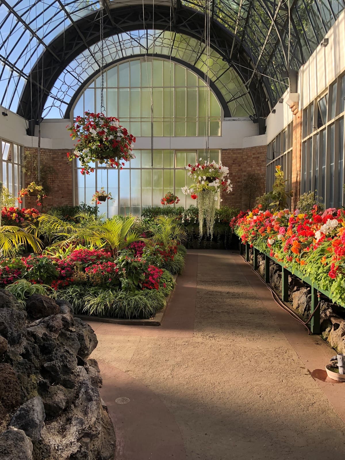 Inside Auckland wintergardens 